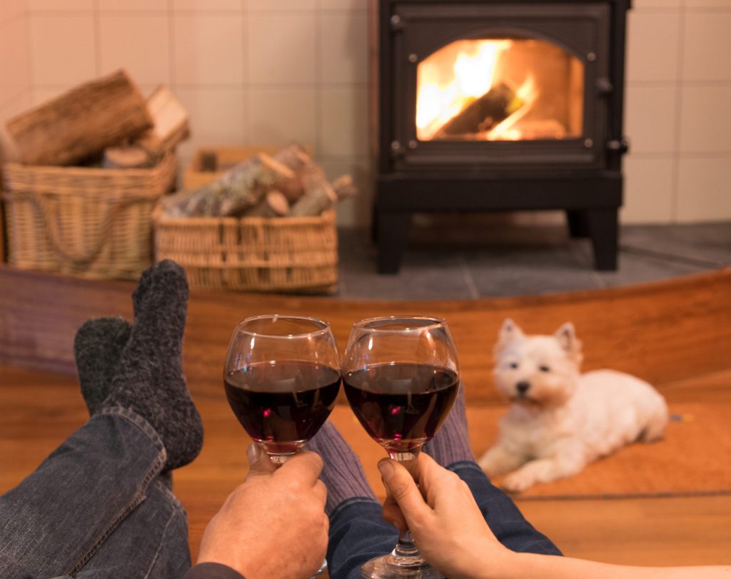 couple sat in front of a wood burning stove with a dog in front of the fire