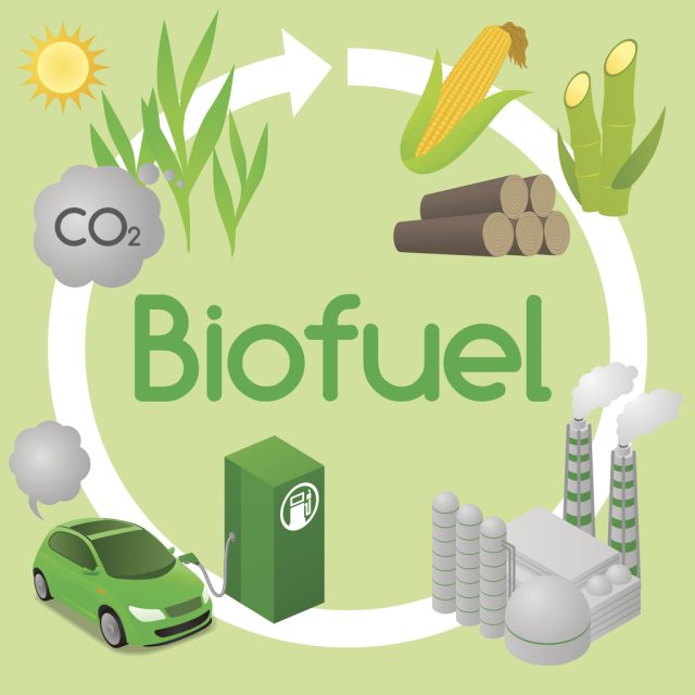 What is bioethanol fuel and how is it made?