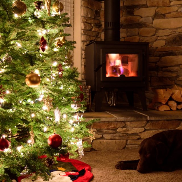 Get Cosy This Christmas with Wood-Burning Stoves