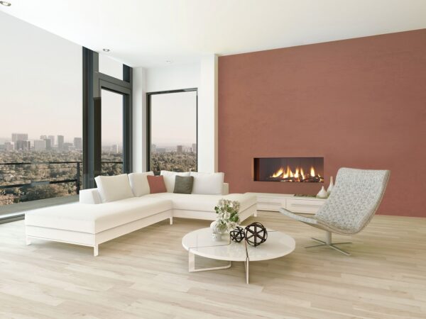 Vision Trimline TL100 - Gas Fireplaces